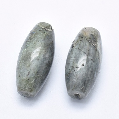 Natural Labradorite Beads G-P384-T26-1