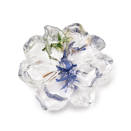Transparent Resin Cabochons RE-CBA7537-01B-1