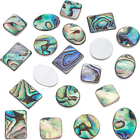 16Pcs 4 Style Natural Shell Cabochons SSHEL-BC0001-23-1