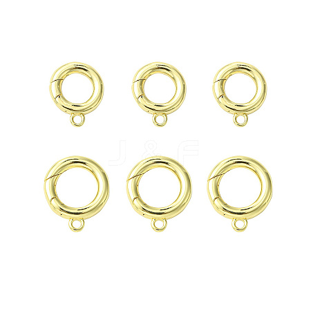 6Pcs 2 Styles Rack Plating Brass Spring Gate Clasps KK-CJ0002-61-1