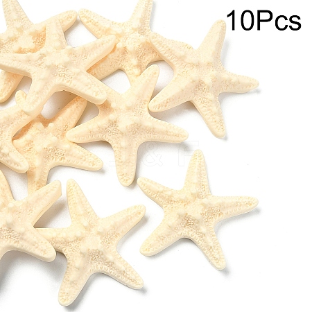 10Pcs Resin Decoden Cabochons CRES-YW0001-42A-1