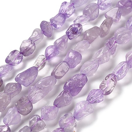 Natural Amethyst Beads Strands G-P497-01E-21-1