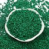 Baking Paint Glass Seed Beads SEED-S042-05A-20-2