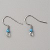 304 Stainless Steel Earring Hooks STAS-WH0027-64P-08-1