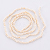 Natural Cultured Freshwater Pearl Beads Strands PEAR-S016-001-2