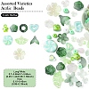 60Pcs Acrylic Beads MACR-YW0003-74B-1