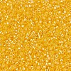 MIYUKI Delica Beads SEED-MY11-DB1562-3