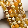 Natural Fire Crackle Agate(Dyed & Heated) Beads Strands G-K425-A07-12mm-1