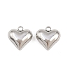 304 Stainless Steel Charms STAS-Z166-10P-1