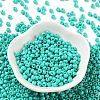 Baking Paint Glass Seed Beads SEED-H002-I-B507-2