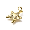 Brass Micro Pave Cubic Zirconia Charms X-KK-C090-25G-2