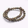 Natural Tibetan Striped Pattern dZi Agate Beads Strands G-F354-13-3