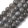 Natural Labradorite Beads Strands G-J120-28-8mm-A-2