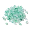 Acrylic Beads OACR-C020-02F-1