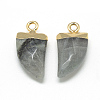 Natural Labradorite Pointed Pendants X-G-Q966-02-2