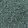 MIYUKI Delica Beads SEED-X0054-DB1847F-2
