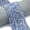 Natural Blue Spot Jasper Beads Strands G-P575-B34-4x1mm-1