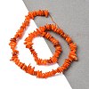 Natural Freshwater Shell Beads Strands BSHE-I016-01F-4