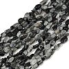 Natural Eagle Eye Stone Beads Strands G-Q060-D06-2