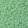TOHO 11/0 Round Beads X-SEED-TR11-0975-2