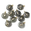 Natural Labradorite Pendants G-H328-08G-B18-1