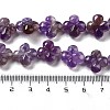 Natural Amethyst Beads Strands G-P520-A07-01-5
