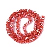 Electroplate Opaque Glass Beads Strands EGLA-Q139-01A-C09-2