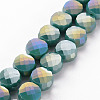 Opaque Electroplate Glass Beads Strands EGLA-N007-002-B03-1