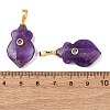 Natural Amethyst Pendants G-P628-05G-04-3