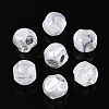 Transparent Acrylic and Glitter Powder Beads TACR-T028-66B-1