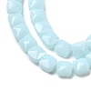 Opaque Glass Beads Strands GLAA-L050-C14-3