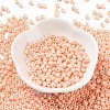 Baking Paint Glass Seed Beads SEED-H002-I-A519-2