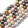 Shell Pearl Colorful Beads Strands BSHE-F013-14M-8mm-2