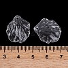 Transparent Acrylic Pendants TACR-G050-03B-4
