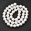 Electroplated Shell Pearl Beads Strands BSHE-K017-8mm-2