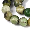 Natural Serpentine Beads Strands G-Q616-07C-4