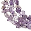 Natural Amethyst Beads Strands G-D365-E03-02-4