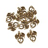 Tibetan Style Pendants TIBEP-K063kg-AB-NR-4