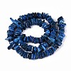 Natural Freshwater Shell Beads Strands SHEL-T020-40C-2