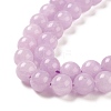 Natural Amethyst Beads Strands G-C049-01C-4