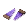 Resin & Wood Pendants LS-WOOD-F015-03E-2