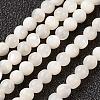 Natural White Shell Beads Strands G-G680-54-1