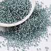 Cylinder Seed Beads X-SEED-H001-G08-1