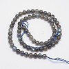 Natural Labradorite Round Bead Strands G-M263-B-03-3