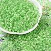 Transparent Inside Colours Glass Seed Beads SEED-A032-04C-1