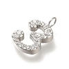 304 Stainless Steel Micro Pave Cubic Zirconia Pendants STAS-H228-01P-03-2