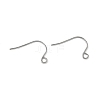 316 Surgical Stainless Steel Earring Hooks STAS-Z124-02C-P-1