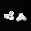 Natural White Shell Beads SSHEL-M022-09-2