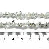 Natural Supper 7 Rutilated Quartz Chip Beaded Necklaces for Men Women NJEW-G159-01Q-5