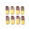 Resin & Wood Pendants X-RESI-S358-19A-1